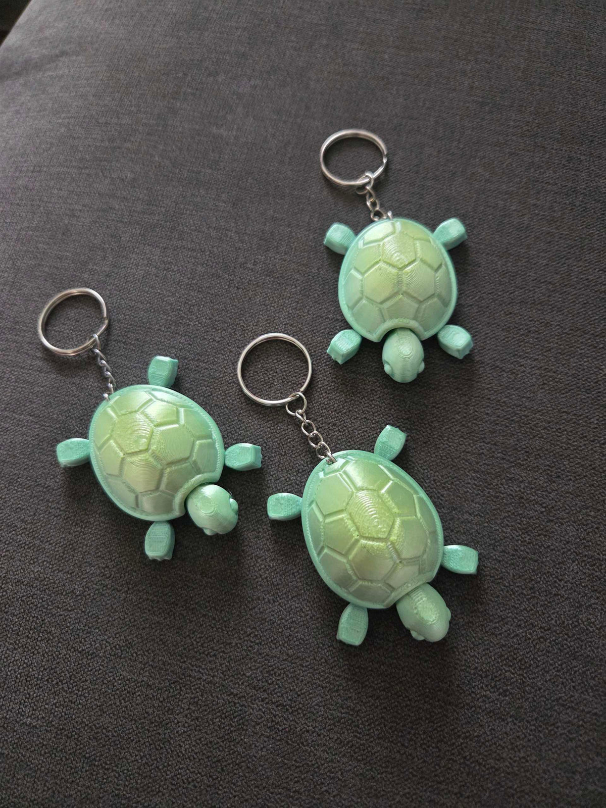 Cutie Baby Turtle