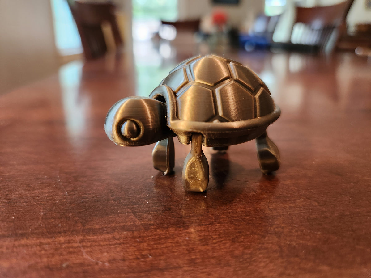 Cutie Baby Turtle