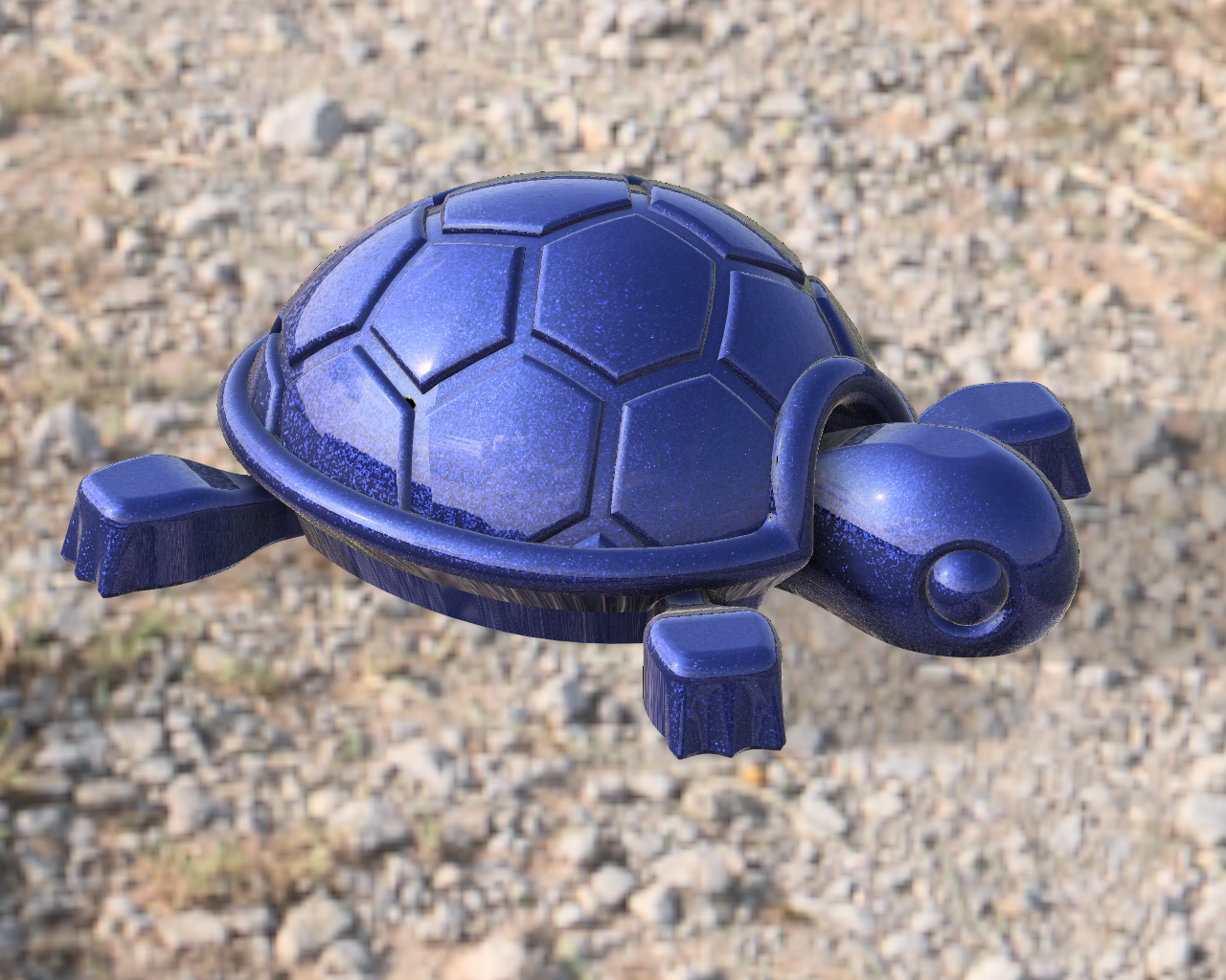 Cutie Baby Turtle