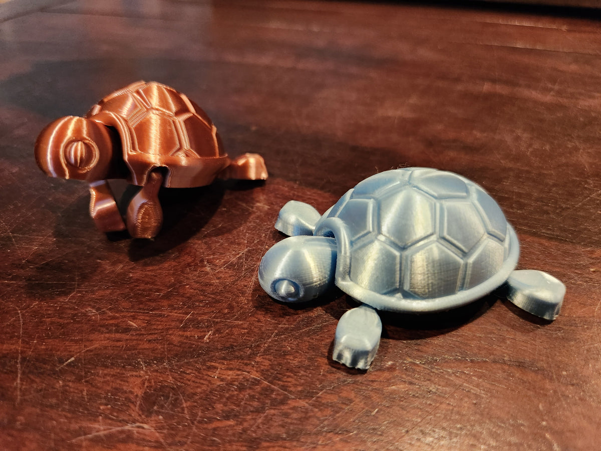 Cutie Baby Turtle
