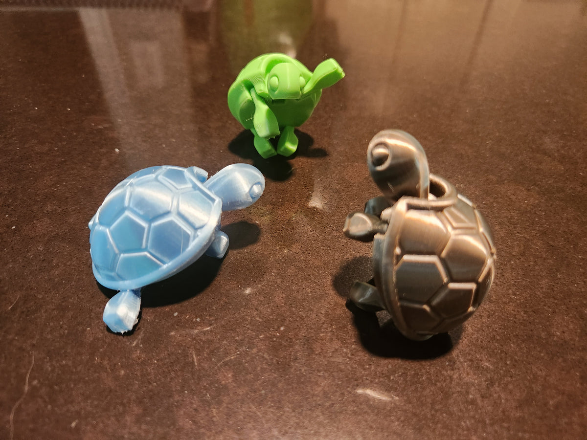Cutie Baby Turtle