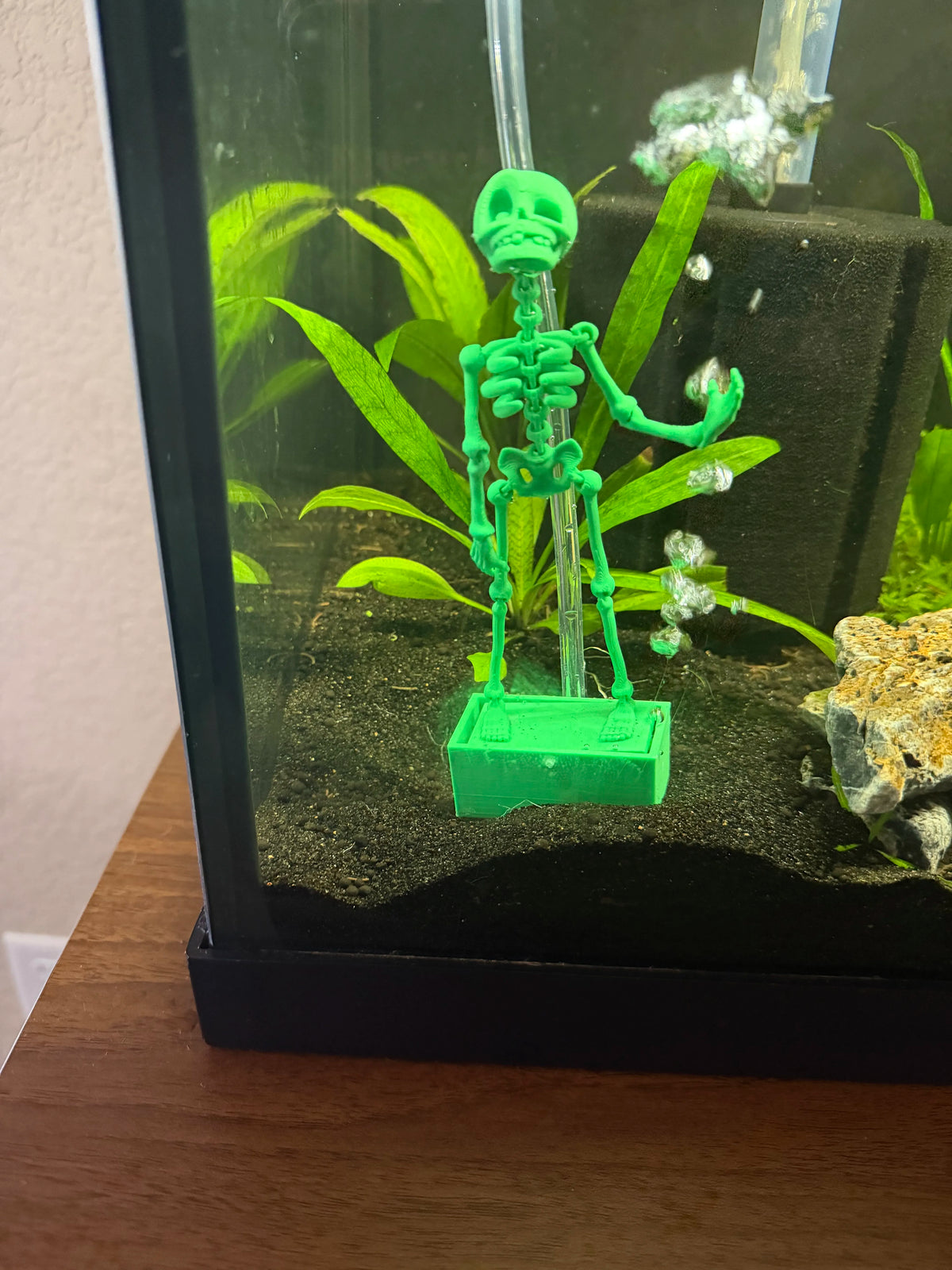 Fish tank dancing skeleton