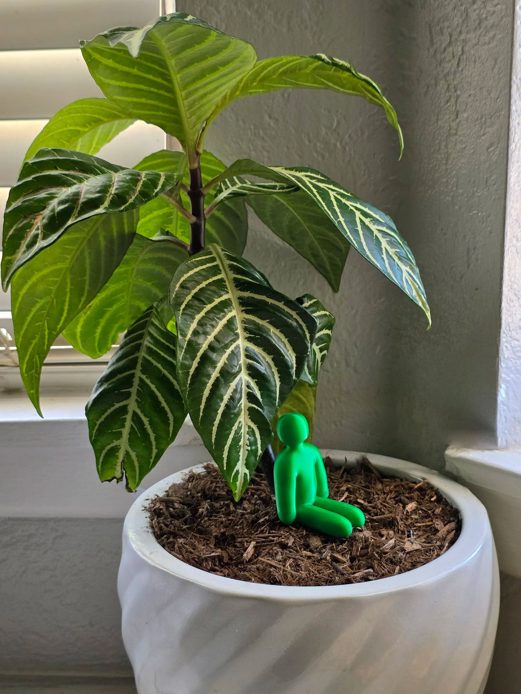MECCHA CHAMELEON