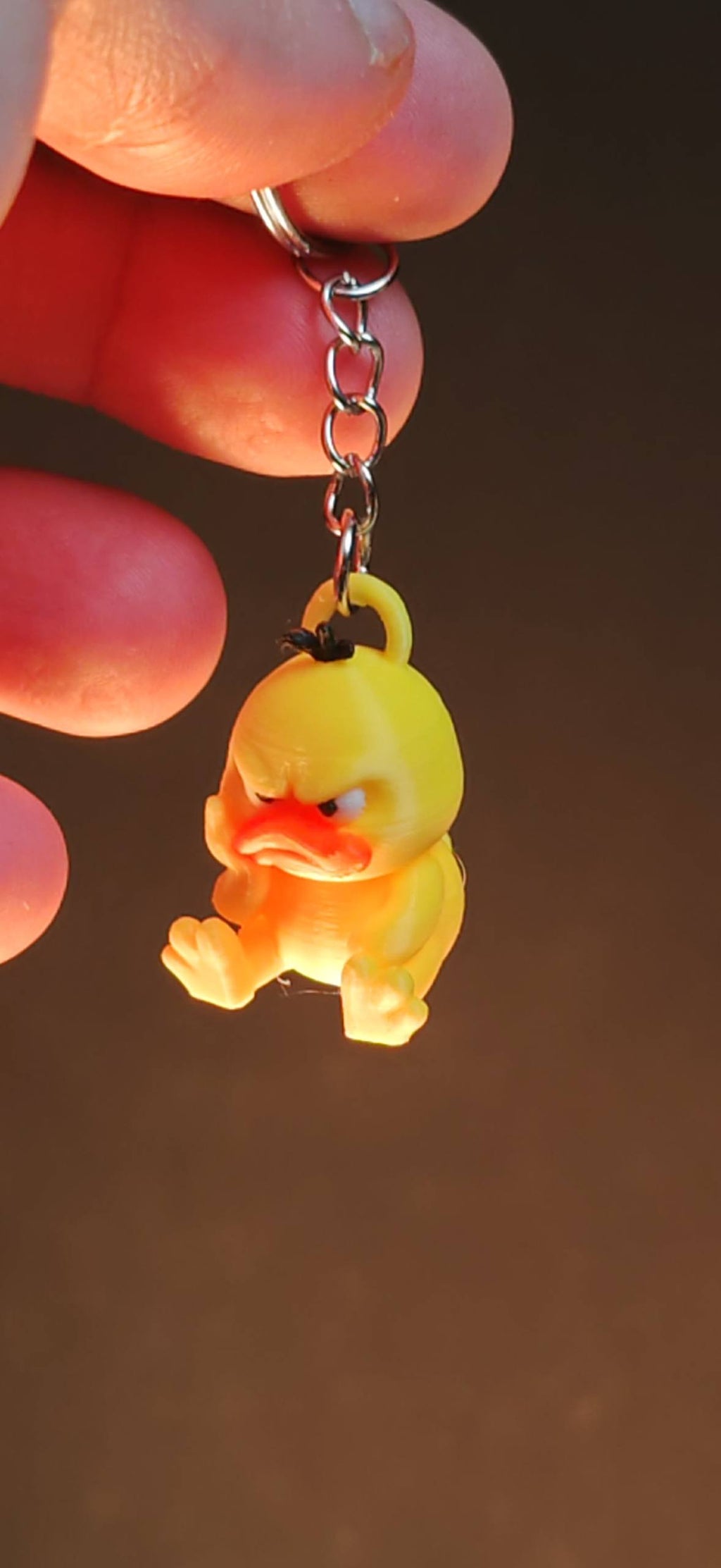 Mini Angry Duc